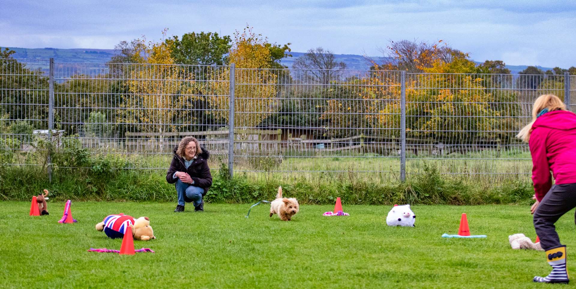 Dog training classes in Carlisle, Cumbria